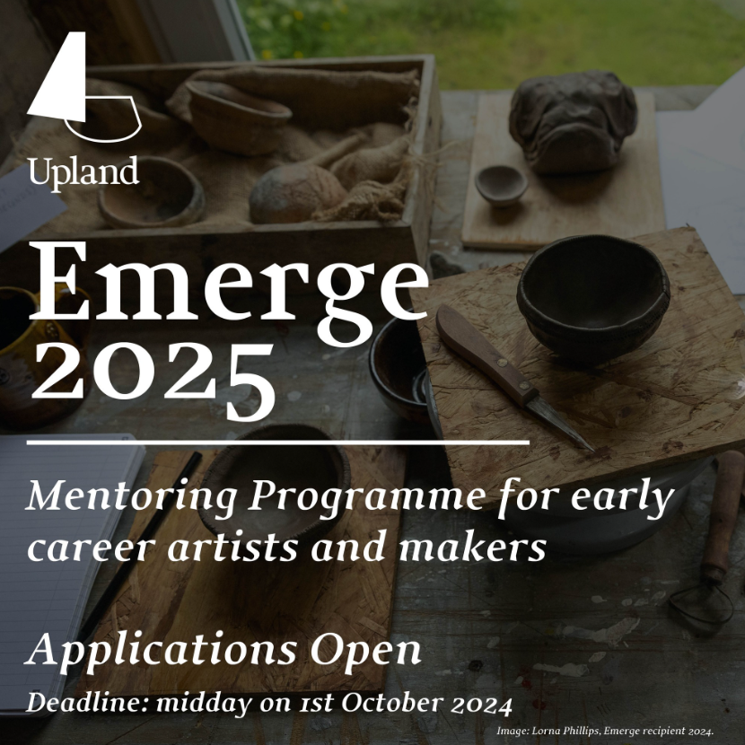 Call out - Emerge Mentoring Programme 2025 now open!