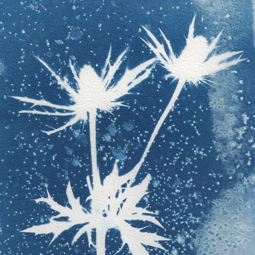 Cyanotype Printmaking