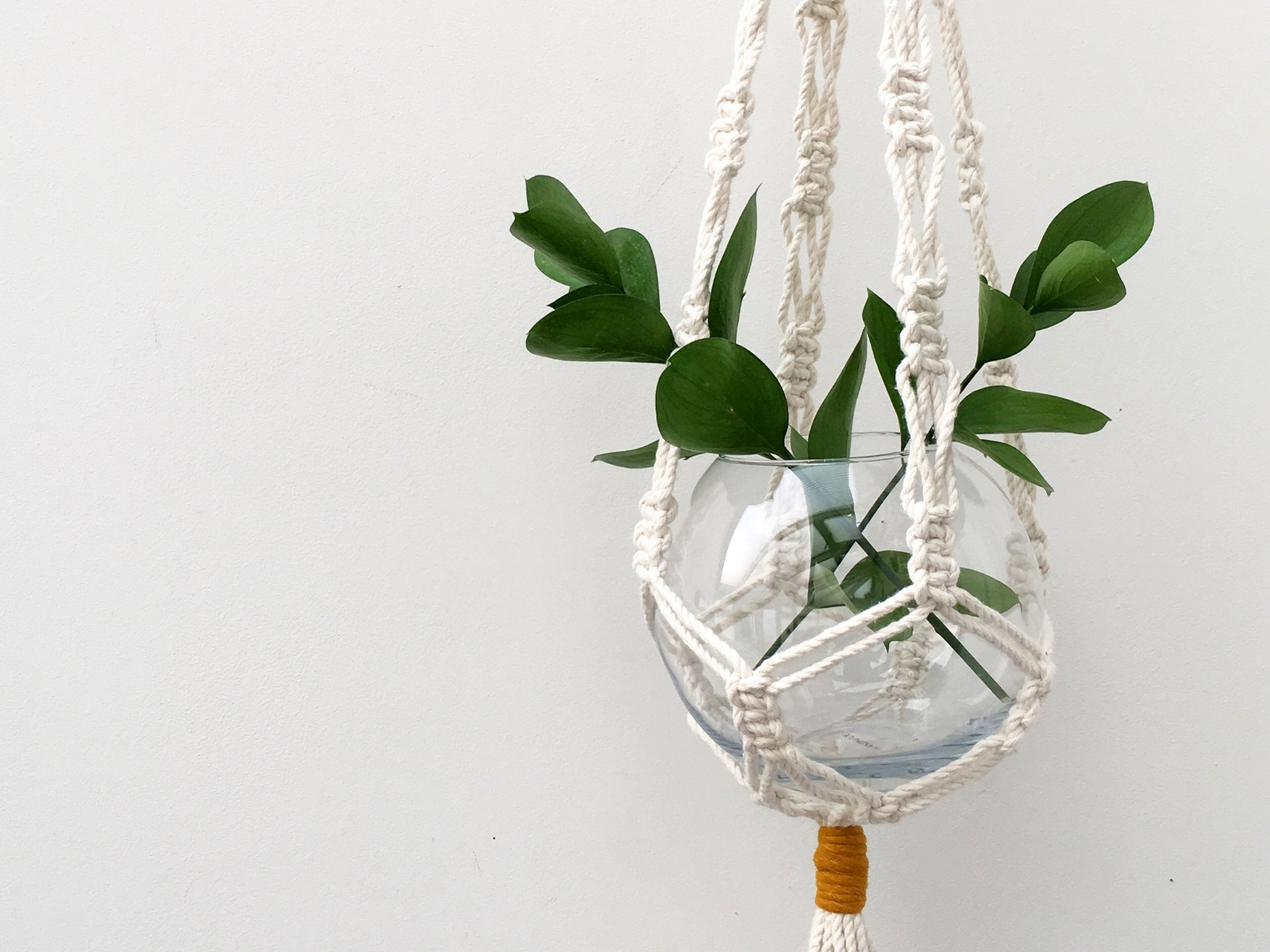 Craft Sunday: Macramé Plant Hangers with Le Petit Moose 