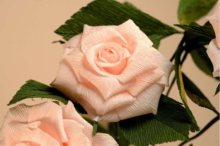 Paper Flower Making: Roses