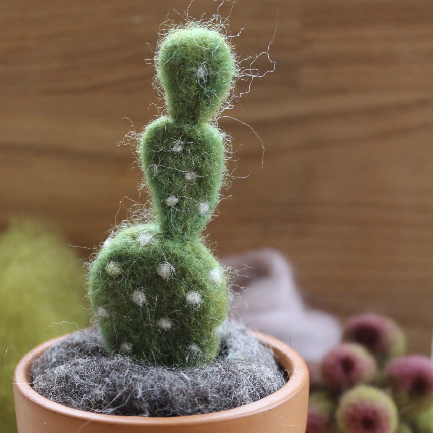 Needle Felted Succulents with The Pale Rook